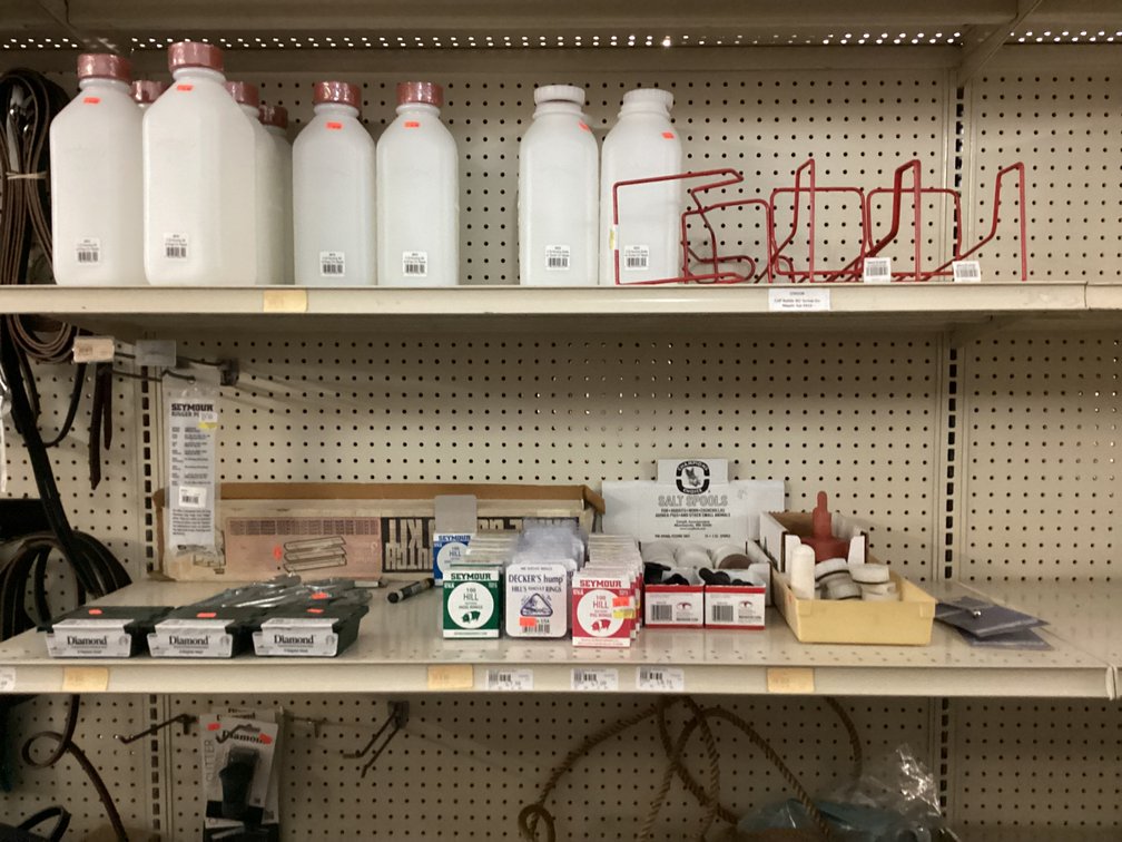 Image for Large Lot of Tack and Horse Supplies