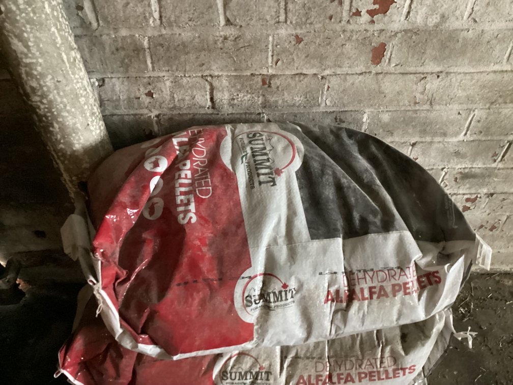 Image for Alfalfa Pellets