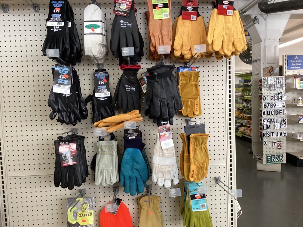 Image for Gloves