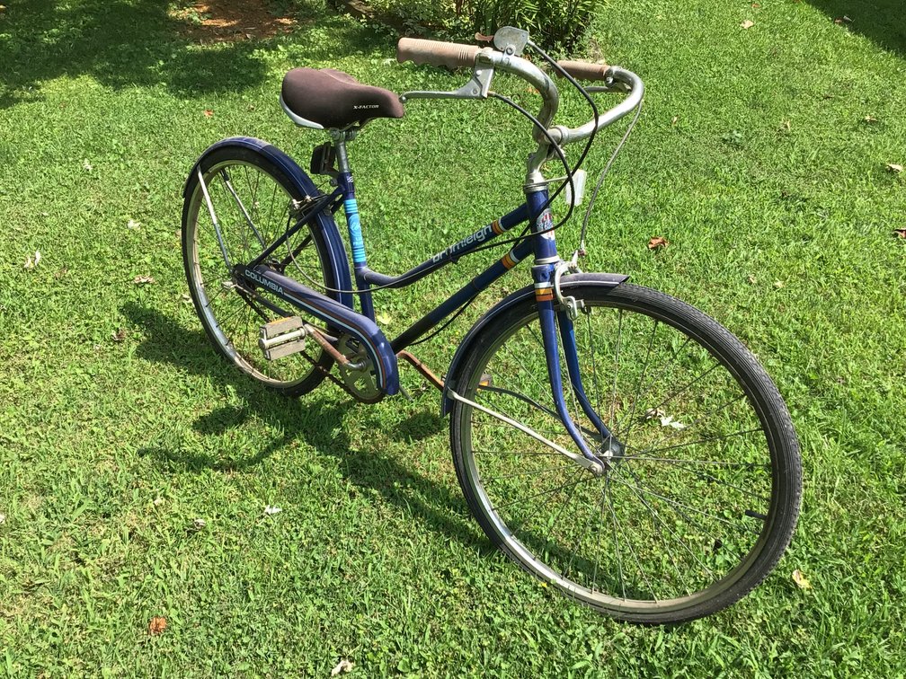 Image for Ladies Bike - Size Small