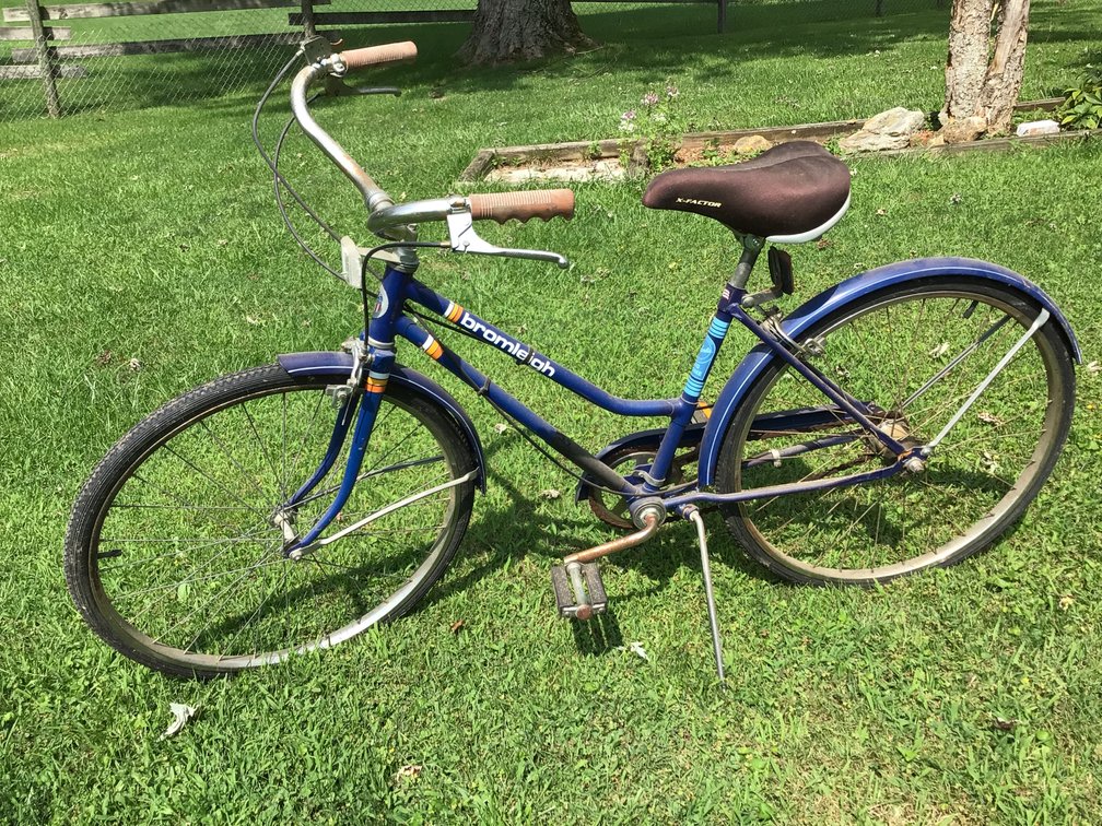 Image for Ladies Bike - Size Small