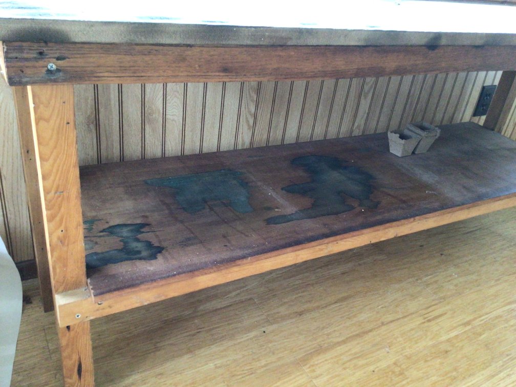 Image for Plant Table