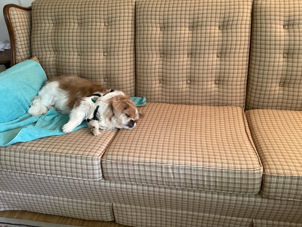 Image for Sofa