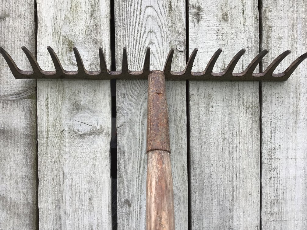 Image for Gardening Tools - Lot 1