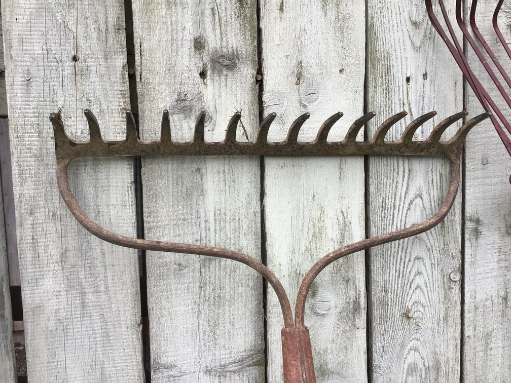 Image for Garden Tools - Lot 4