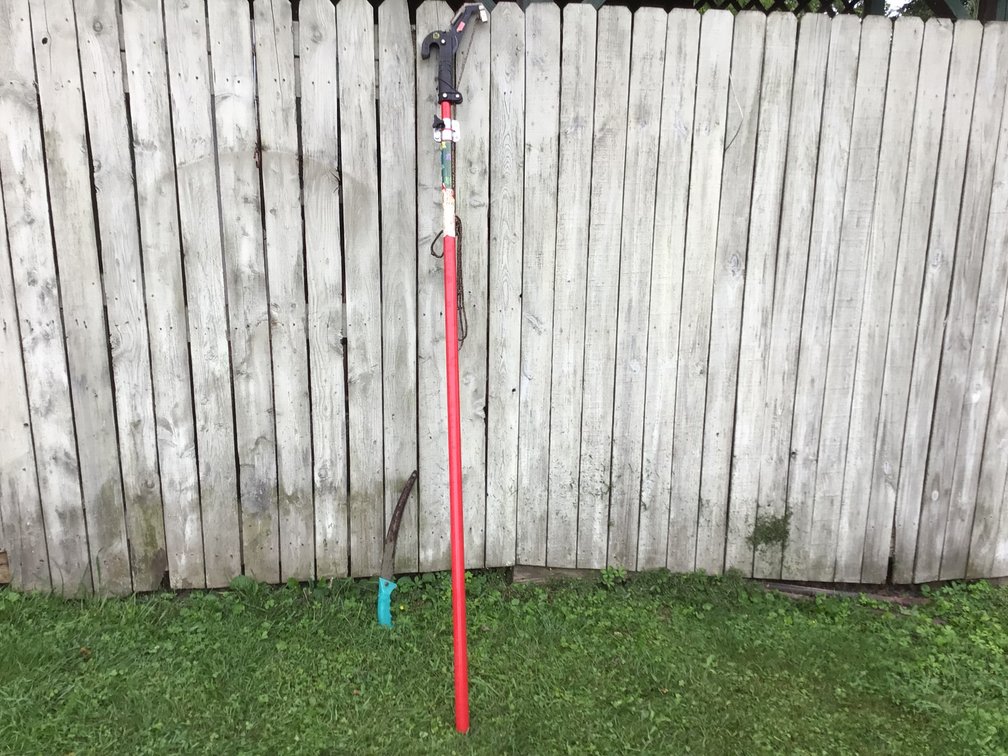 Image for Pole Saw