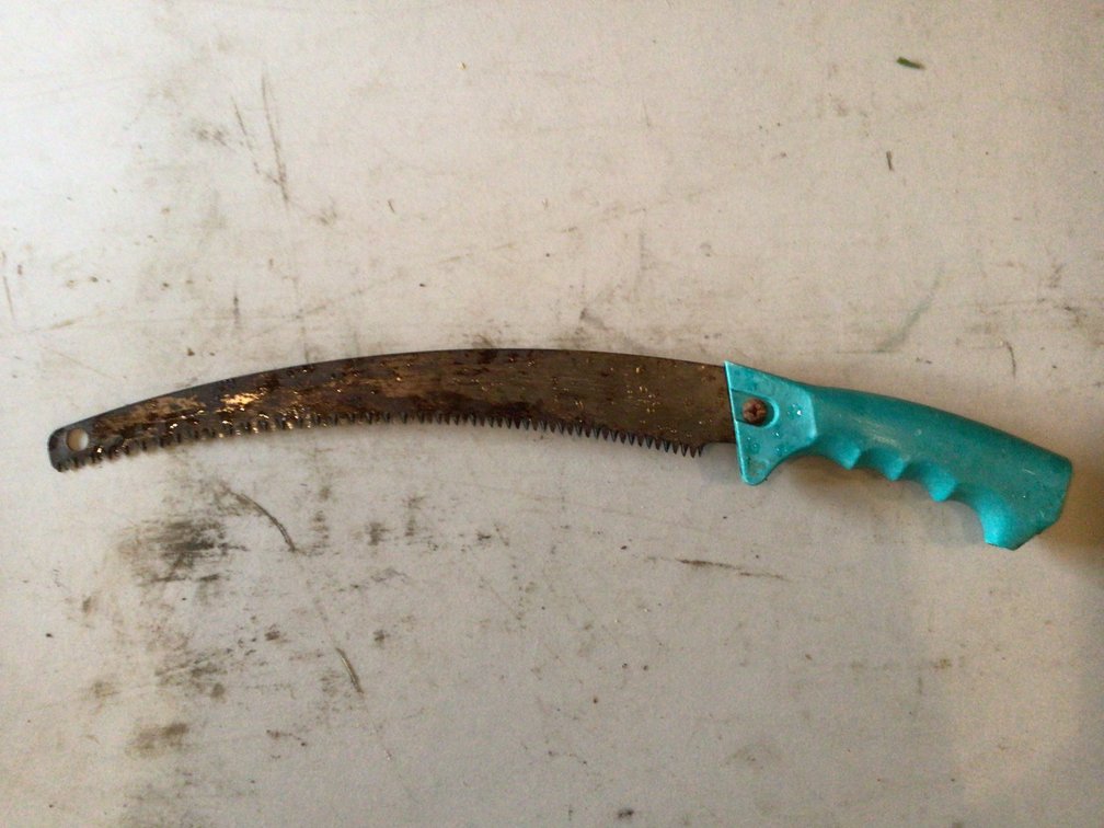 Image for Pole Saw