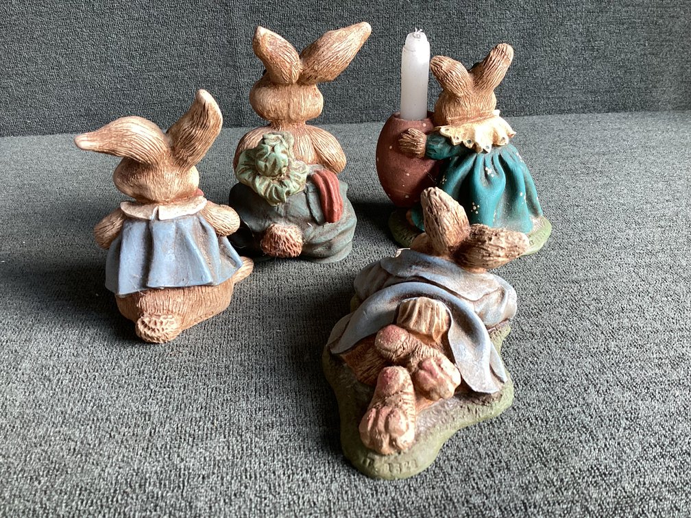 Image for Rabbits