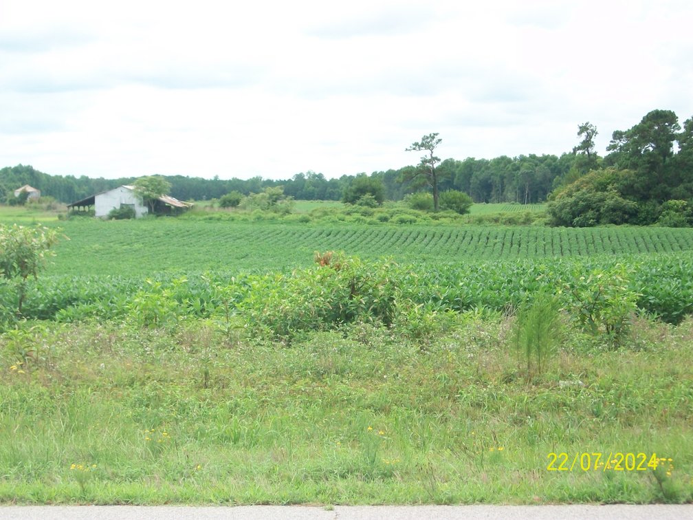 Image for Tract 1 - 414.838 acres
