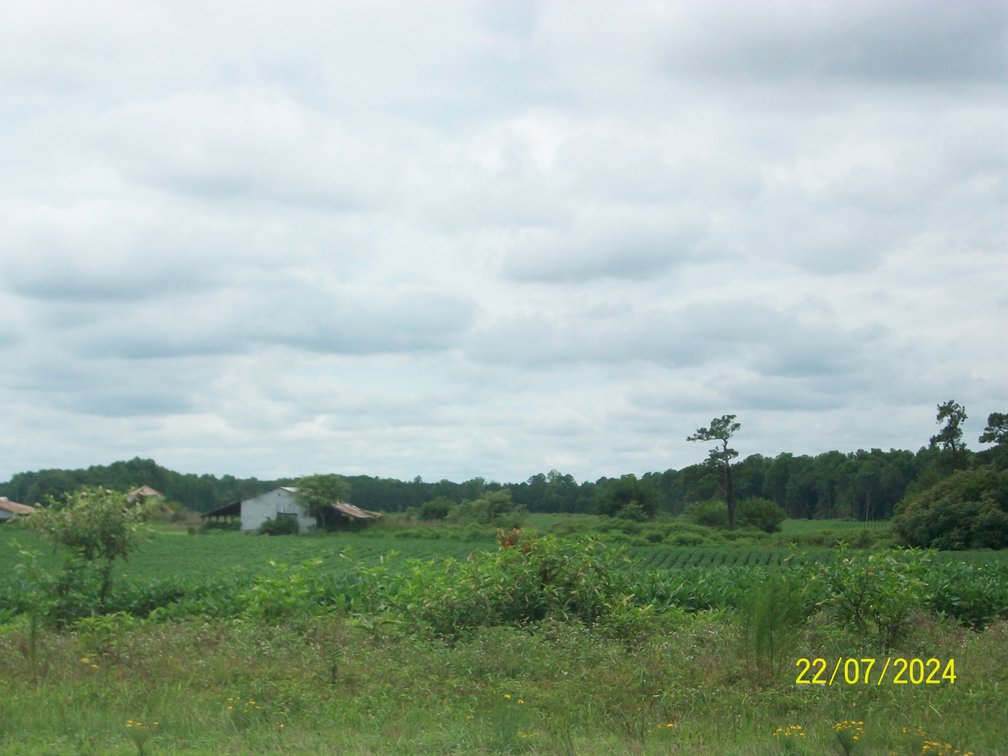 Image for Tract 4 - 121.28 acres