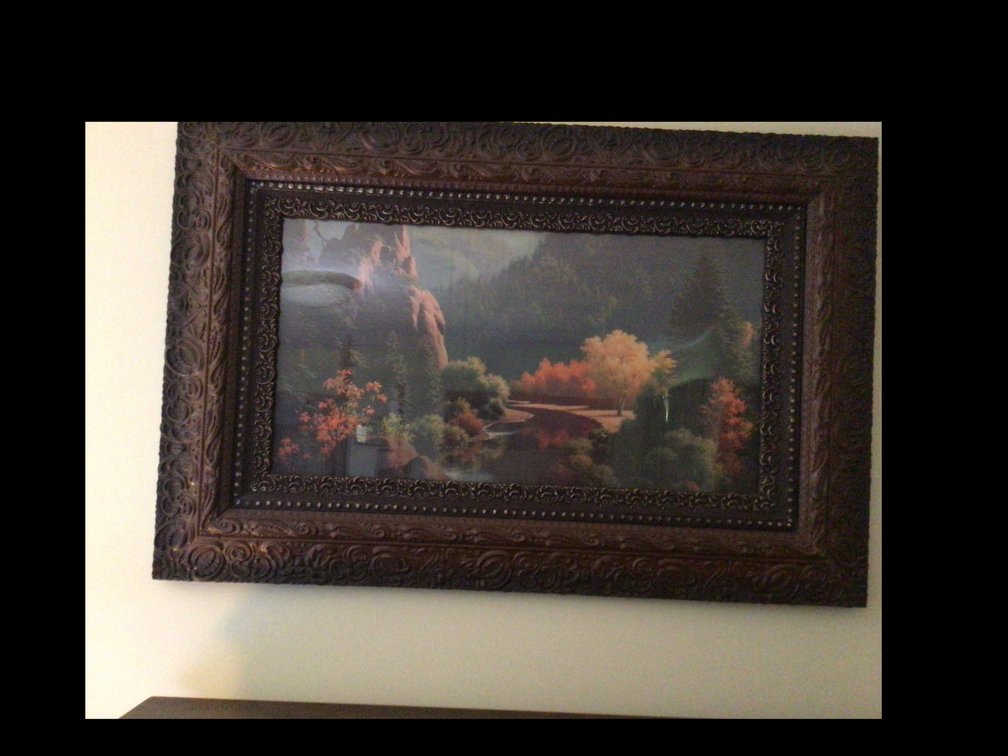 Image for 36”x 24”Framed Print