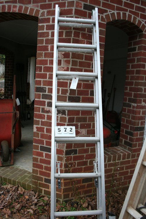 Image for Werner Ladder