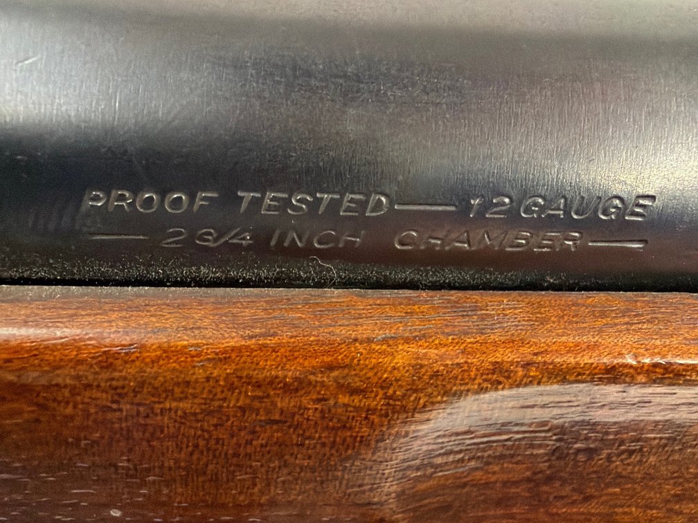 Image for SAVAGE  USED