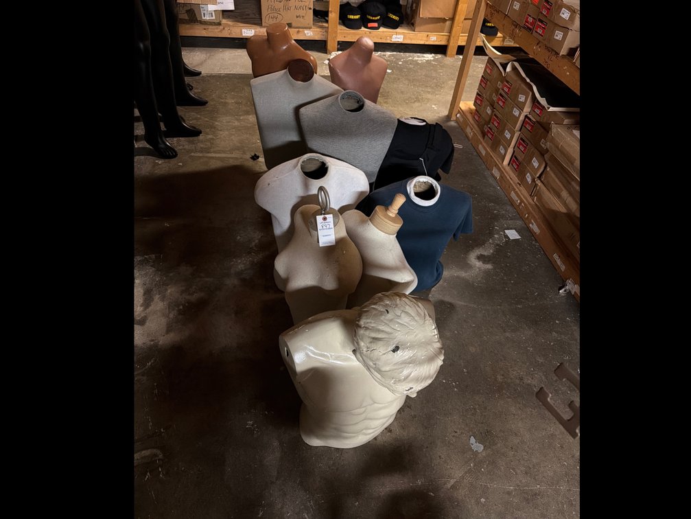 Image for Mannequin
