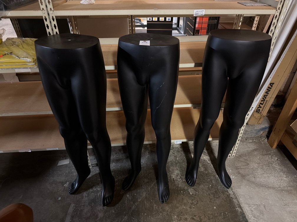 Image for Mannequin