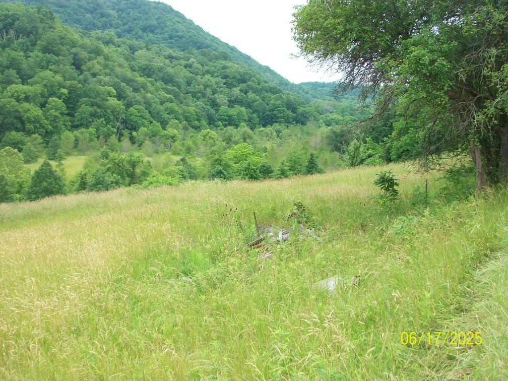 Image for Tract 2 – The tract has 49.1 acres and a barn.