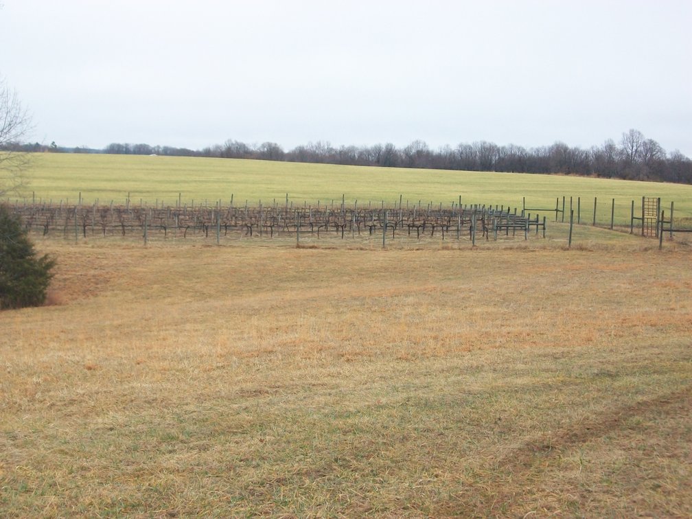 Image for 29 acres with 4 acres of vines - Chatham