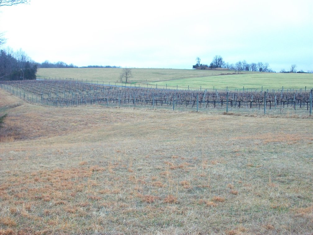 Image for 29 acres with 4 acres of vines - Chatham
