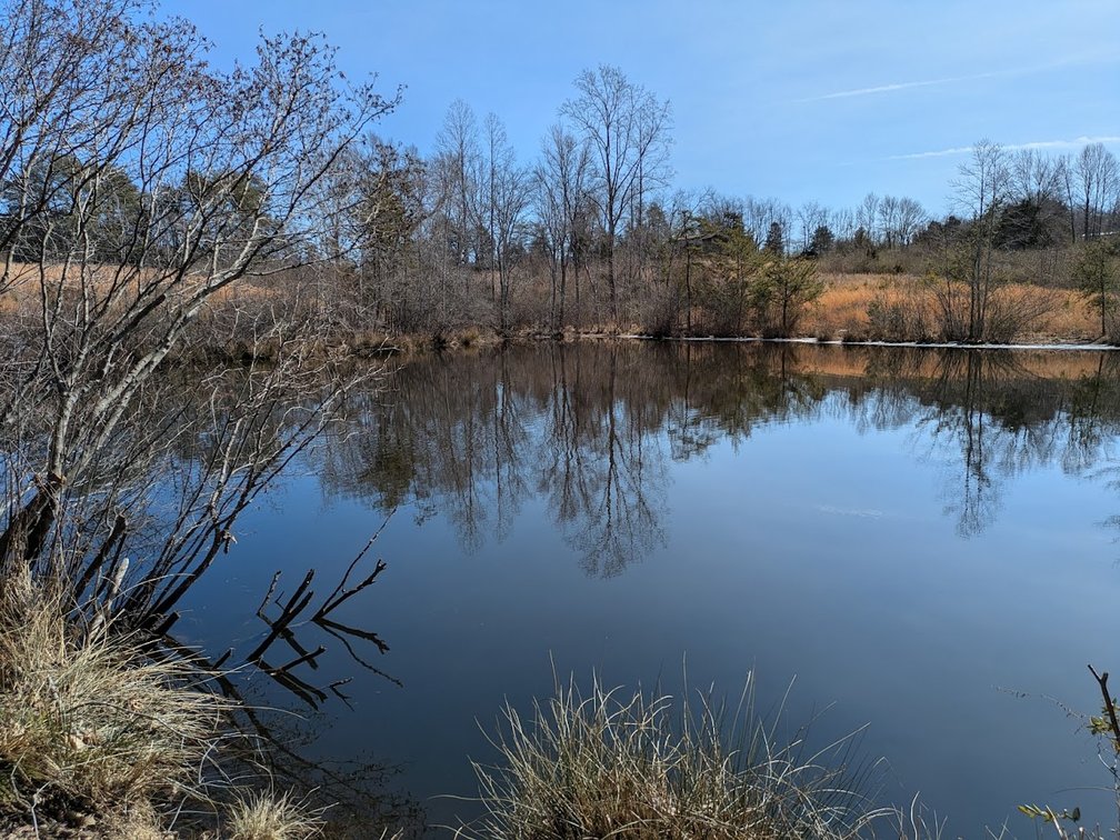 Image for Chatham VA
