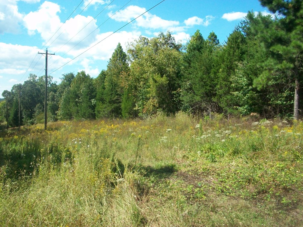 Image for Esmont, VA (Albemarle County)