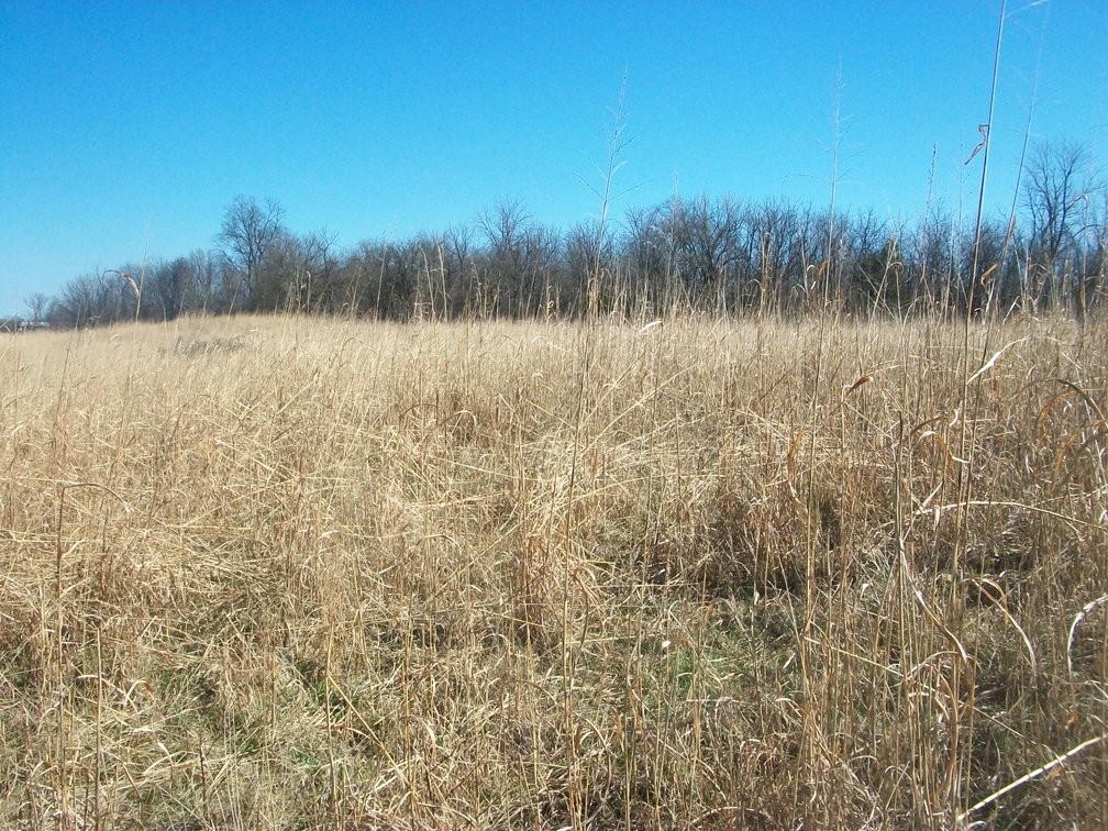 Image for Horizon Farm Credit - Kirkpatrick