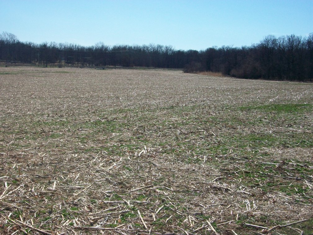 Image for Horizon Farm Credit - Kirkpatrick