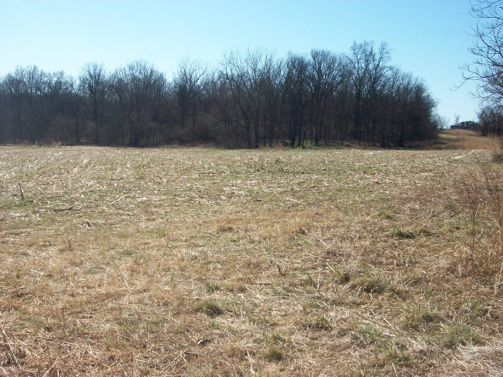 Image for Horizon Farm Credit - Kirkpatrick
