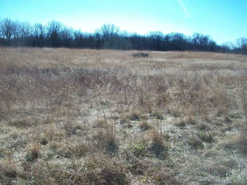 Image for Horizon Farm Credit - Kirkpatrick