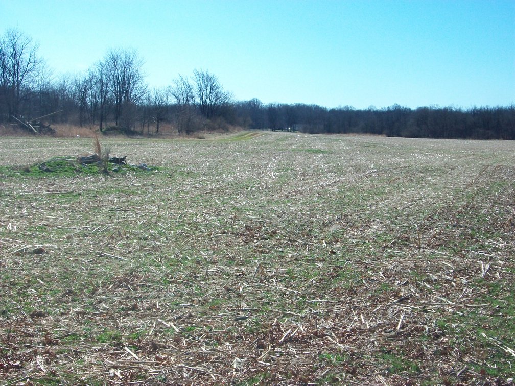 Image for Horizon Farm Credit - Kirkpatrick