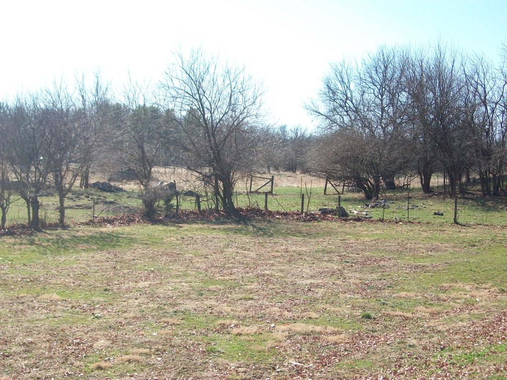 Image for Horizon Farm Credit - Kirkpatrick