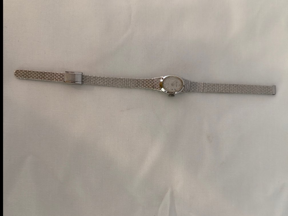 Image for Stainless Steel Wrist Watch and Bracelet