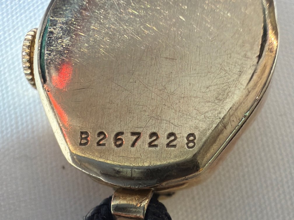 Image for Ladies Wrist Watch