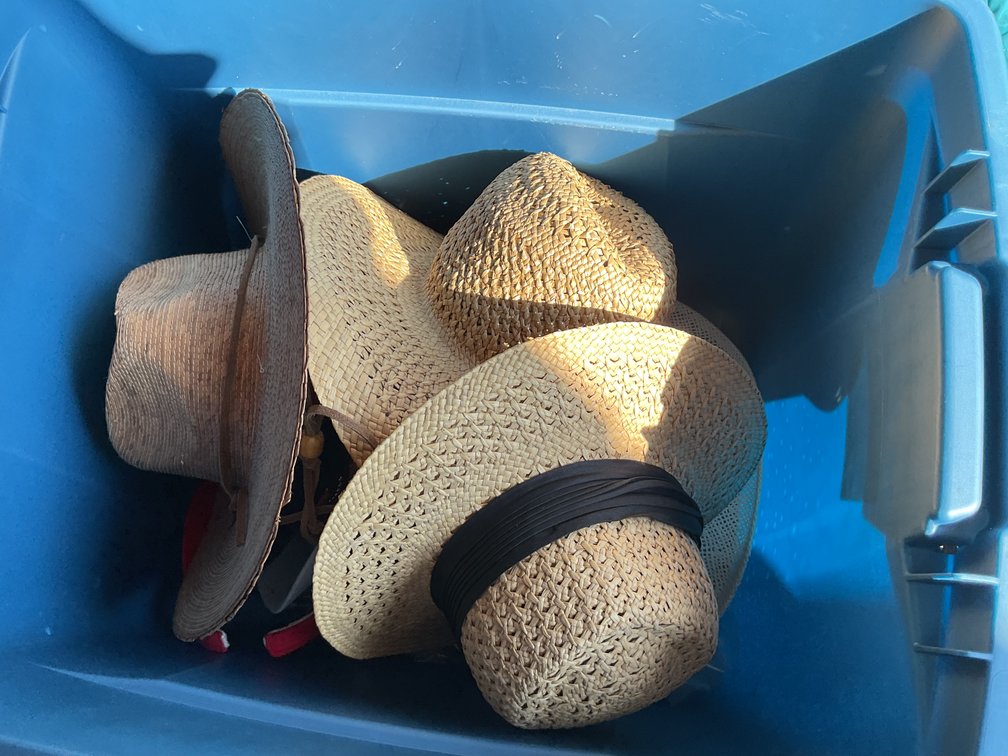 Image for Hats, Purses, Shopping Bags