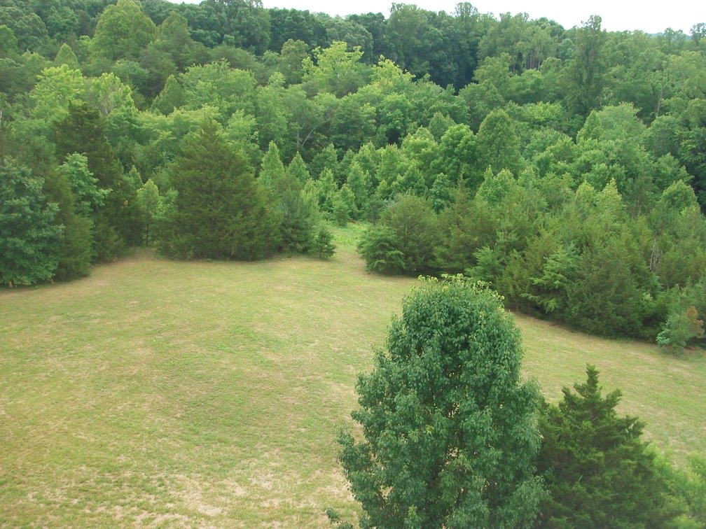 Image for Bohannon