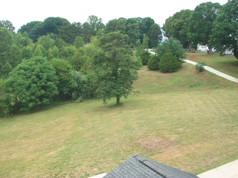 Image for Bohannon