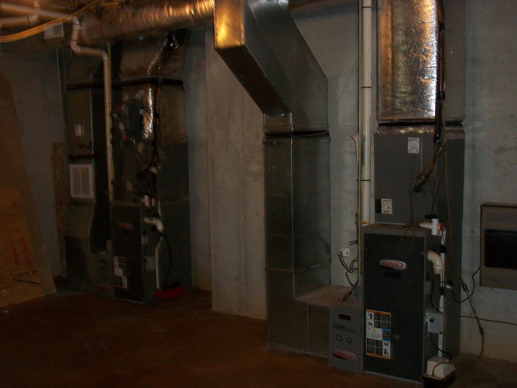 Image for Bohannon