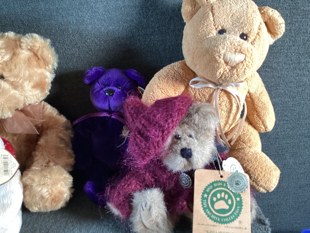 Image for Stuffed Animals