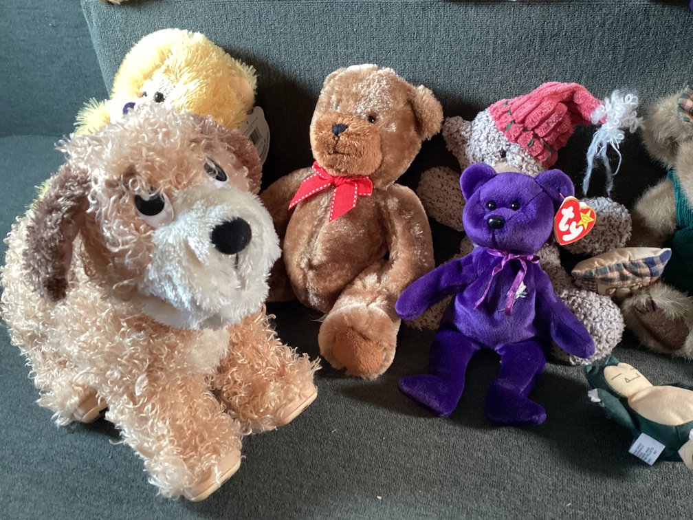 Image for Stuffed Animals