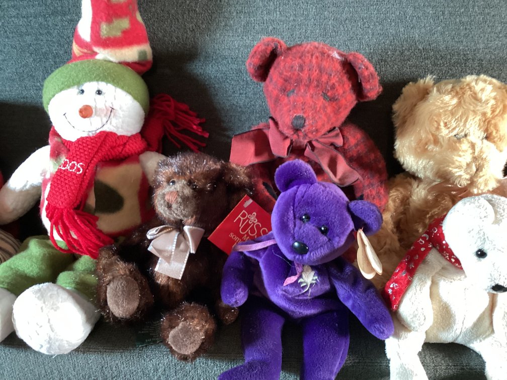 Image for Stuffed Animals
