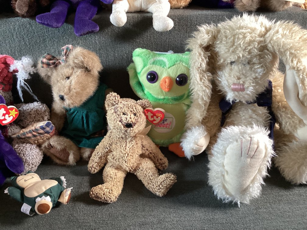 Image for Stuffed Animals