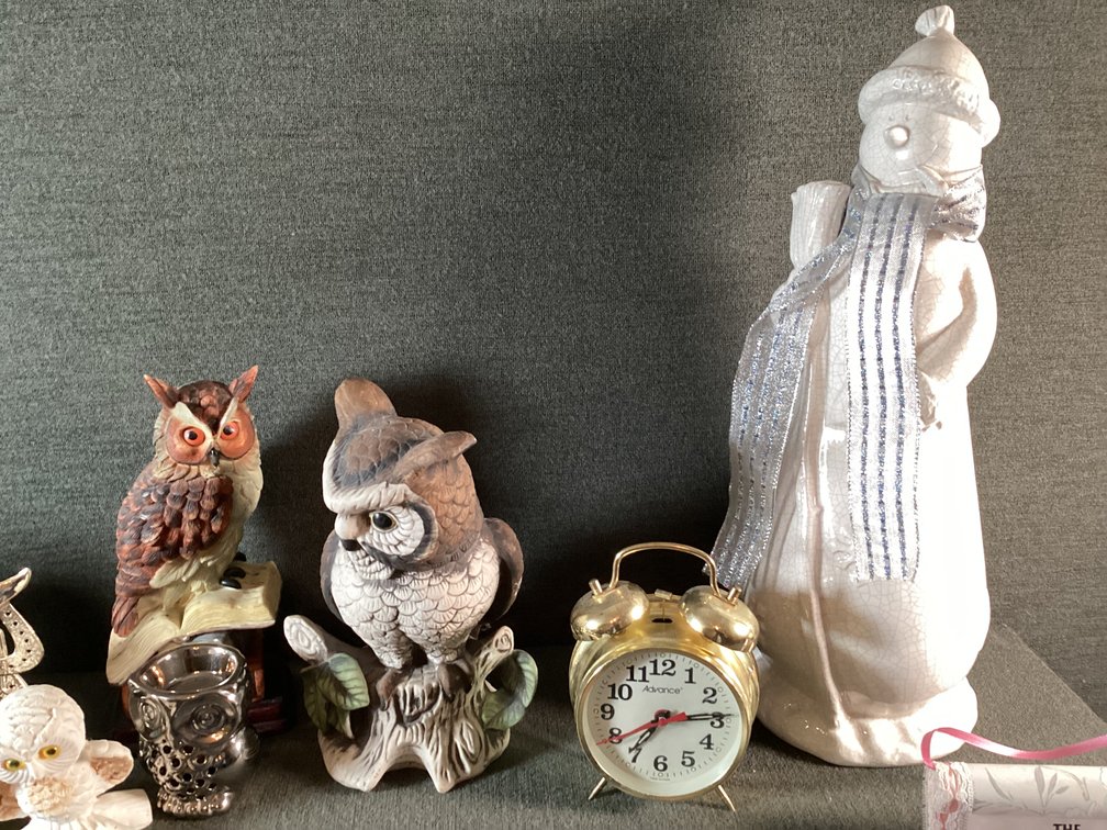 Image for Decorator’s Lot
