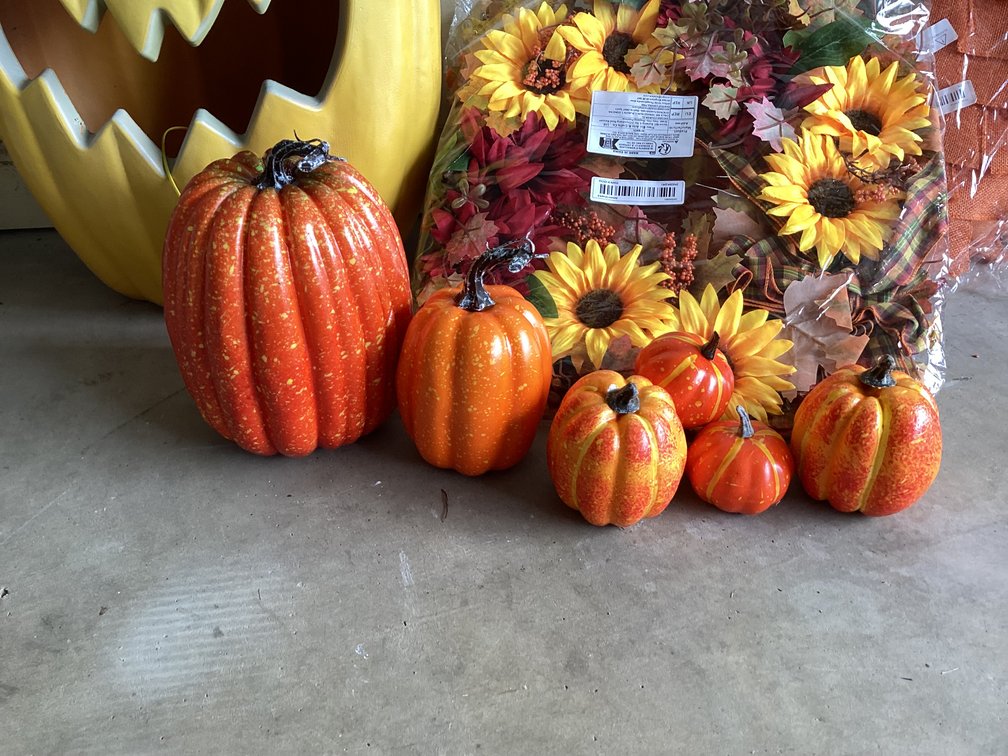 Image for Fall Decoations