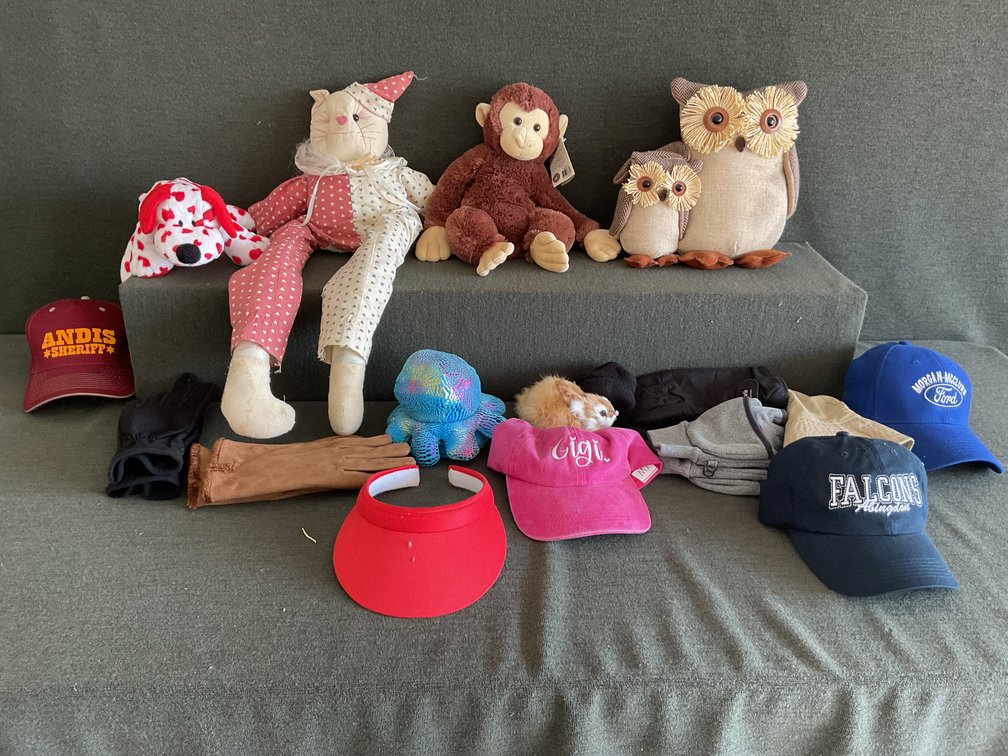 Image for Hats, Gloves, and Animals