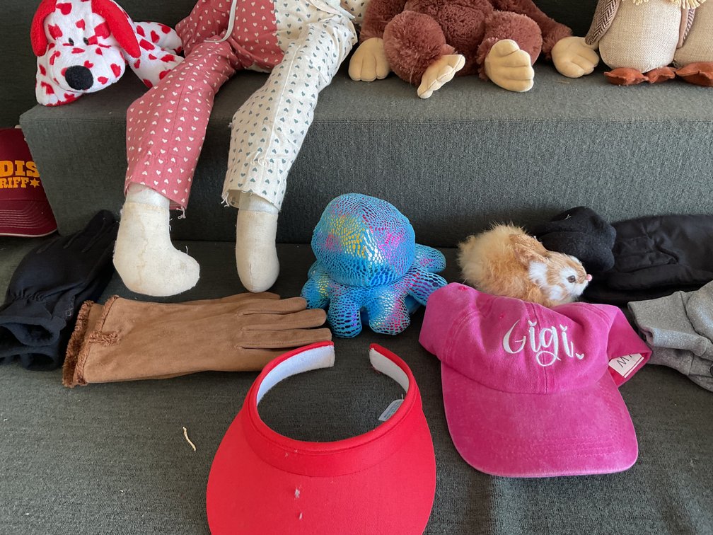Image for Hats, Gloves, and Animals