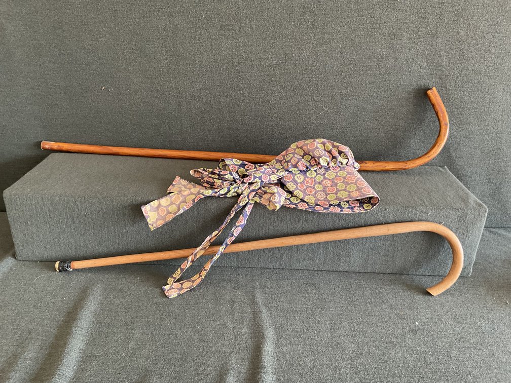 Image for Canes & Bonnet