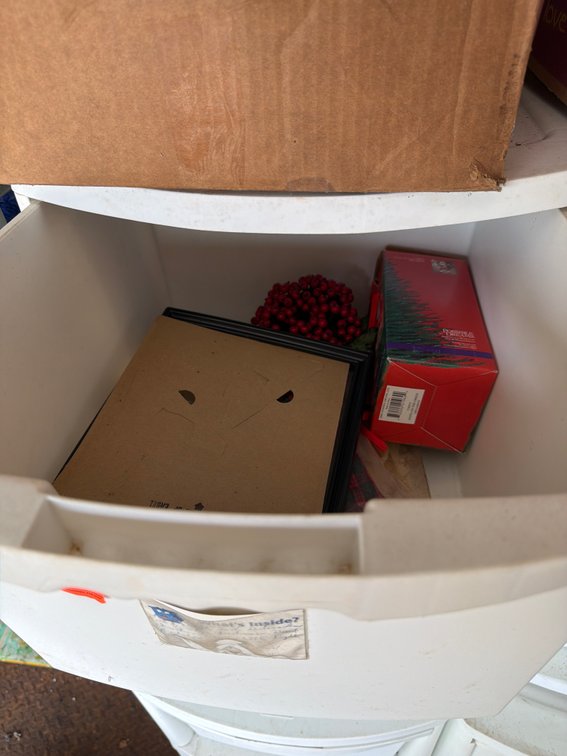 Image for Empty crates and Christmas items