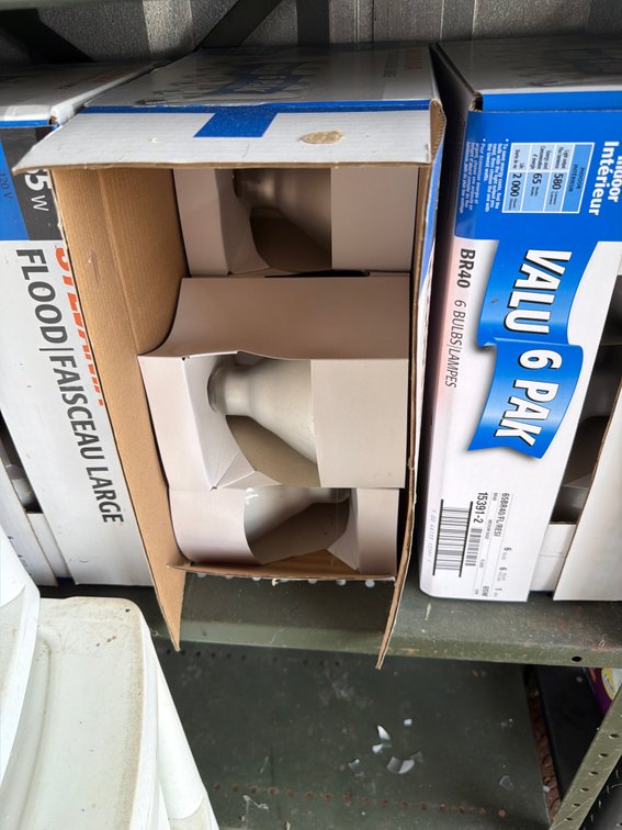 Image for Shelf and contents, various lightbulbs