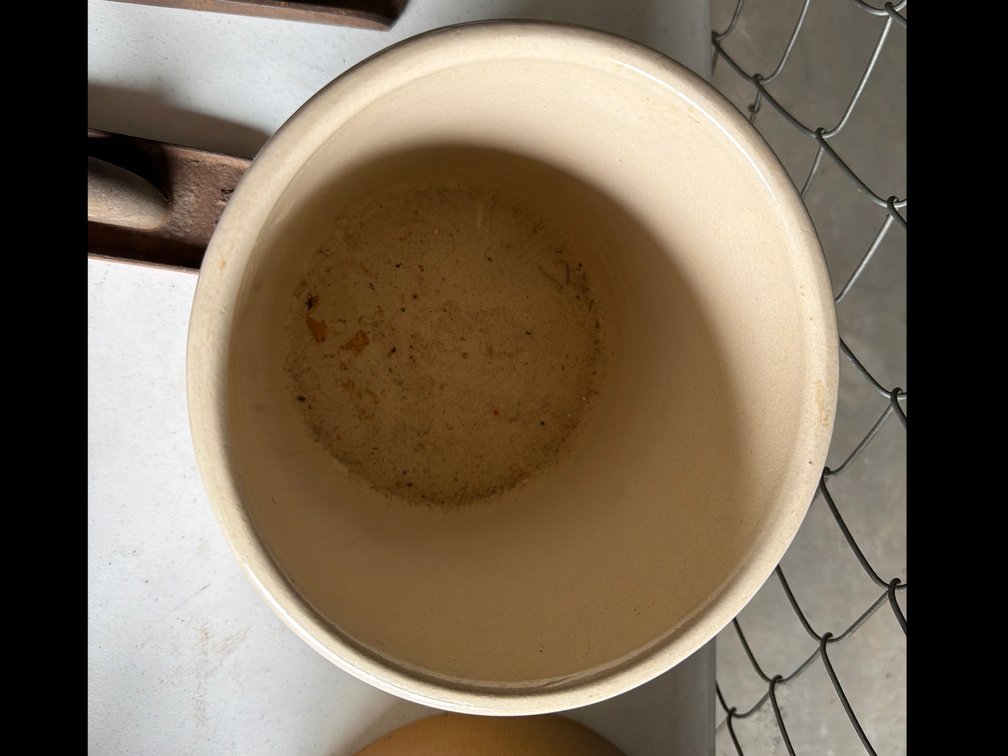 Image for # 1 Crock no visible cracks