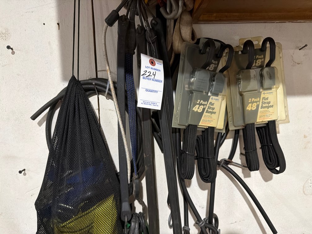 Image for Straps on the wall