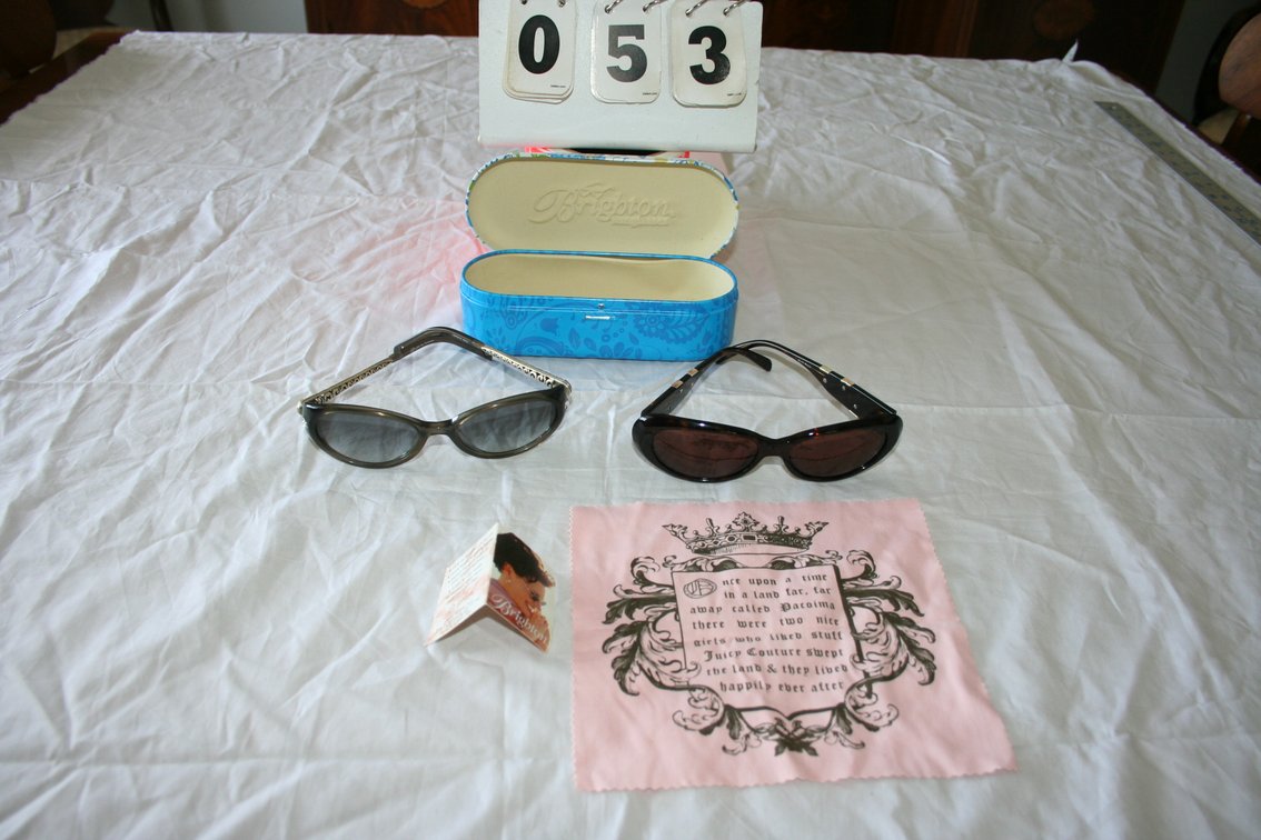 Image for Pair of Brighton womens sunglasses with case